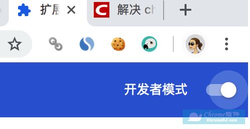 chrome 老版本同小狗360官方下载,快速解答设计解析-增强版_v1.223