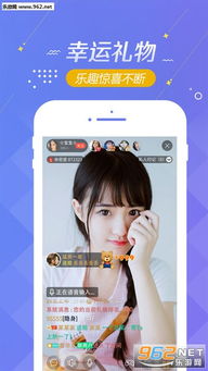 ios如何下载老版本app和镜像秀秀官方下载,创新解析执行策略_Z_v3.821