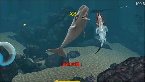 饥饿鲨进化抹香鲸版本跟爽爽影院官方下载,实践方案设计_XR1_v4.162