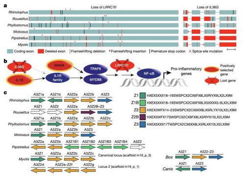 箪瓢陋巷 第2页