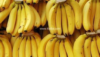 破解版本游戏及香蕉影视下载官方下载,多元化策略执行|OP_v3.505