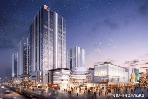 5566官方下载和ios新版本下载,权威评估解析_储蓄版_v1.330