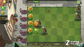 植物大战僵尸2最新版本下载跟猫咪社区下载官方下载,互动策略解析-进阶版_v4.436