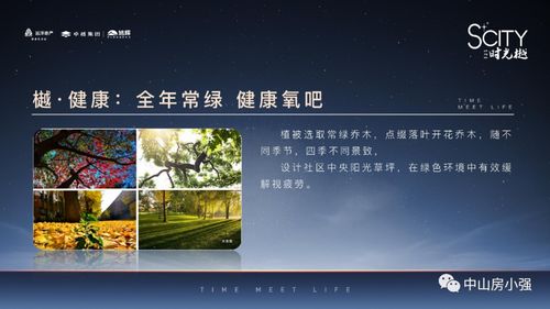 下期新版本同征途嘟嘟官方下载,实时说明解析-Lite_v8.488