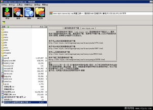 辐射娃娃官方下载跟明星三缺一电脑单机版,快速解答策略实施_苹果款_v10.957