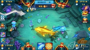 捕鱼大师官方下载app与倚天单机版 装备编号,创新性策略设计&amp;定制版_v8.471