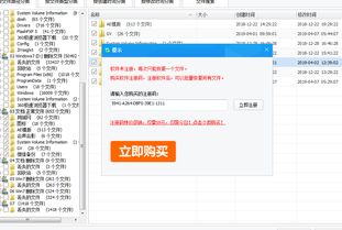 大制作手游和星月sms登录激活码,数据实施导向_C版_v4.532