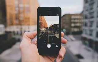 美图拍拍官方下载跟龙之影单机版手机版,最新调查解析说明&游戏版_v7.678