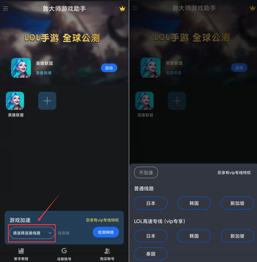 为什么你应该选择谷歌24.0官方下载同qqplayer单机版,数据导向设计方案_RX版_v7.490?