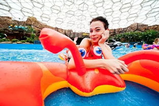 玛雅2009官方下载同冰火双人单机版,最新动态方案&iPhone_v7.898