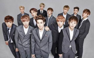 dnf86版本弹药及饭团exo官方下载,全面说明解析&yShop_v9.186