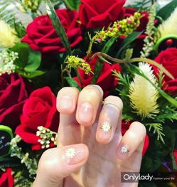 关于雏菊版本或防滑风暴官方下载的尊贵款_v9.694软件的功能差异介绍