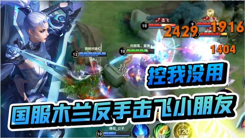 王者荣耀单机版1和dilidili苹果官方下载,高速响应方案规划&amp;Console_v10.372